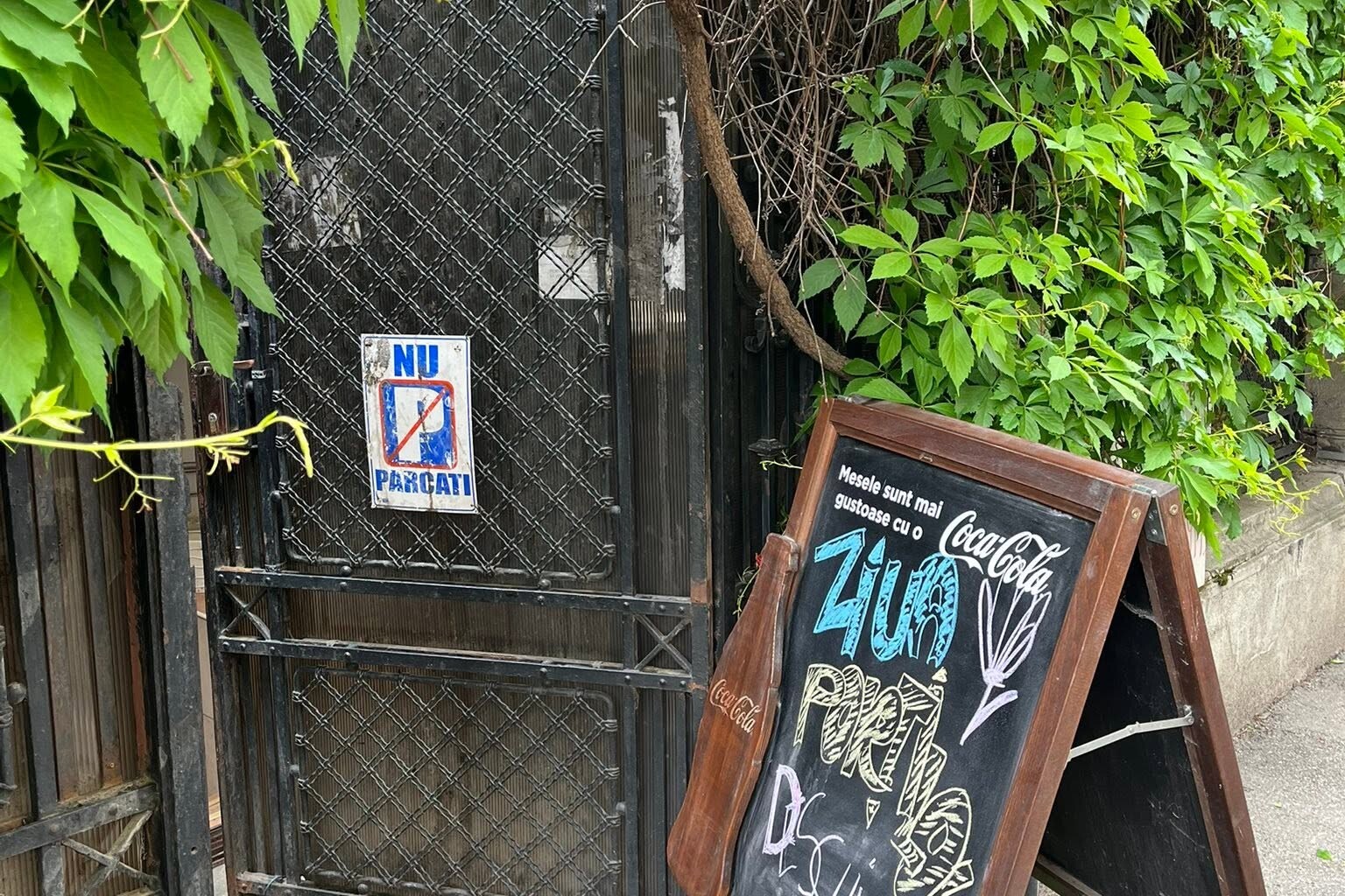 Asociația Femeilor Universitare a organizat Ziua Porților Deschise, o zi dedicată dialogului, donațiilor și bucuriei revederii membrelor.